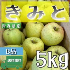 青森県産 ＂ きみと ＂ りんご【ご家庭用B品5kg】【送料無料】【産地直送】リンゴ 林檎