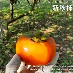 2024年最新】太秋柿の人気アイテム - メルカリ