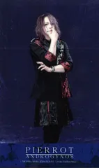 ANDROGYNOS - THE FINAL WAR 豪華版DVD ANDROGYNOS - THE FINAL WAR -