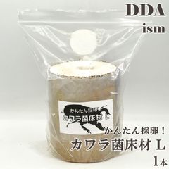簡単！割り出し採卵！タランドゥス1♀54個採卵！【DDA】カワラ菌床材L 1本 加水,下処理不要 dda クワガタ 産卵木 カワラ材 カワラ菌糸