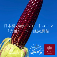日本初！赤いスイートコーン｢大和ルージュ｣×前田農産長崎