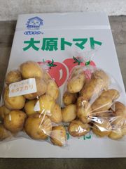 ジャガイモ　キタアカリ、メークイン