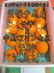甘平と中島プリンセスのセット販売　秀品　3K化粧箱16玉