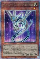 サイバードラゴンネクステア 25th シークレット クオシク 遊戯王 QCCP