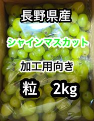 長野県産　シャインマスカット　加工向き　粒売り 2kg