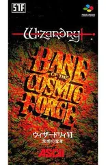 2025年最新】SFC ウィザードリィ6の人気アイテム - メルカリ