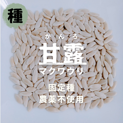 【種】マクワウリ　甘露（かんろ）　農薬不使用　30粒