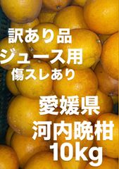 訳あり品　愛媛県産　家庭用　宇和ゴールド　河内晩柑　柑橘　ジュース用　10kg