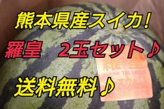 本日限定価格!　熊本県産すいか羅皇（ラオウ）ザ・スイート2玉セット　1玉約7キロ
