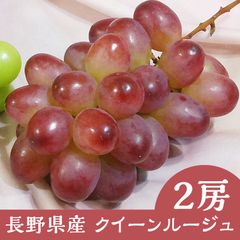 長野県産 ぶどう クイーンルージュ 3房 クール便 【予約販売／9月下