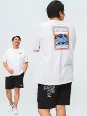 THE NORTH FACE ザ ノースフェイス 半袖 Tシャツ ハーフドーム マウンテン ロゴ ラグラン プリント クルーネック 大きいサイズ メンズ NF0A87NU ホワイト