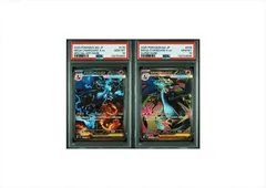 【PSA10】 メガリザードンex SAR 110/080 SR 094/080 連番 インフェルノX