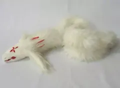 2026年最新】もっくんの人気アイテム - メルカリ