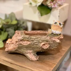 フクロウ親子とキノコ 小物入れ 梟 ふうろう 不苦労 福朗 置物 置き物 オブジェ ギフト ミニチュアアニマル 贈り物 縁起物 82769 レトロ アンティーク風 ガーデニング プレゼント かわいい ユニーク フィギュア リアル コレクション 手の平サイズ