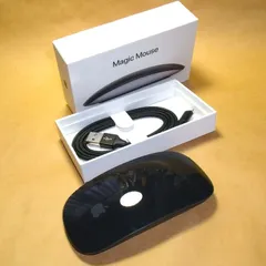 Magic Mouse 2 Space Gray編み込ライトニングケーブル付属