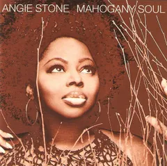 2025年最新】angie stone レコードの人気アイテム - メルカリ