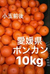 愛媛県産　ポンカン　柑橘　10kg
