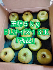限定！自家産「王林」秀品５Ｌサイズ１３玉