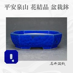 盆栽鉢 中国鉢 時代鉢 植木鉢 観葉植物 山野草 広東 瑠璃 長方 隅切