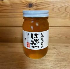 日本ミツバチ 300g 非加熱 蜂蜜 無添加　国産はちみつ
