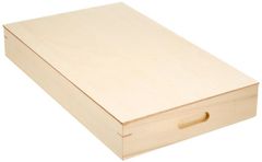 ナガノ産業 ナガノ 白木 もち・そば 保存箱 2440