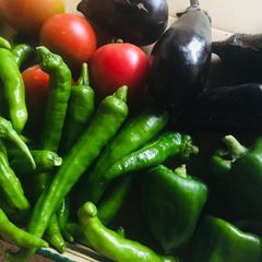 夏野菜セット きゅうり　なす　万願寺とうがらし　ししとう　にんにく　トマト　農薬不使用　コンパクト　常温発送