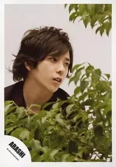 【中古】生写真(ジャニーズ) 嵐/二宮和也/バストアップ・前に植物/公式生写真