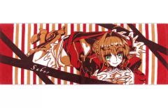 [중고] 수건·수건(캐릭터) 세이버(가로형) 페이스타올 [이치반쿠지 Fate/EXTRA Last Encore~여과 연주자들의 온천 여행~] D상