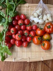 【農薬・化学肥料不使用】トマト&バジル