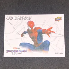 Spider-Man / スパイダーマン Marvel Studios' Spider-Man No Way Home UD Canvas #C-9