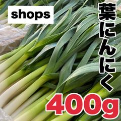 【農家直送】高知県特産‼️葉ニンニク 400g 即購入OK xt