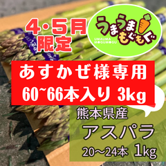 【期間限定品】熊本県産　グリーンアスパラ ３L 3kg（60～66本） 極太　アスパラ　あすぱら