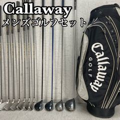 NIKE - ナイキ 　ヨネックス　メンズゴルフ13本セット　右利き用　キャディバッグ　初心者おすすめ　入門用　NIKE　YONEX ナイキ ヨネックス メンズゴルフ13本セット 右利き用 キャディ