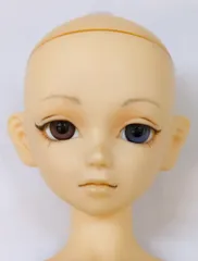 2025年最新】sd f- ボークスの人気アイテム - メルカリ