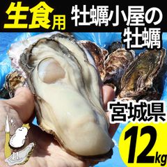 牡蠣 生食用 12kg 60～100個 殻付き 産地直送 宮城県産 三陸 カキ 牡蛎 生牡蠣 海鮮 貝 貝類 刺身 バーベキュー BBQ 産直 牡蠣2