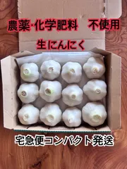 期間限定令和8年度採れたて生ニンニク　詰め合わせ　1kg前後 農薬 化成肥料不使用　サイズいろいろ詰め合わせ セット　ホワイト六片のサムネイル