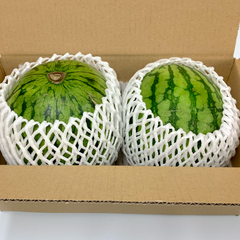 【選果落ち 訳あり商品 S＆Mサイズ】 熊本 小玉すいか 2玉 合計 箱込み 約2.5Kg Sサイズ＆Mサイズ 食べ比べ サイズ混合 規格外 家庭用 贈答不可 加工用 (002)小玉西瓜  熊本県産 果物 フルーツ 予約販売 6月上旬以降