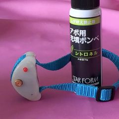 Item thumbnail for item 2ebe815d-fd68-443c-950a-37e6457676b6