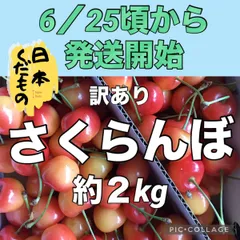 2024年最新】紅秀峰の人気アイテム - メルカリ