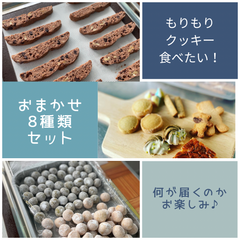 ☆気ままなおまかせ８種クッキーセット【2月19日発送】