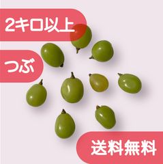 山梨県産 シャインマスカット 粒 2kg / ぶどう パーティー・お誕生日・お菓子作りのサムネイル