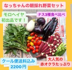 なっちゃんの朝採れ野菜【モロヘイヤ初出品！】
