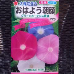 未開封＜花の種＞おはよう朝顔　大輪咲き混合　1.5ｍｌ　あさがお グリーンカーテンに最適