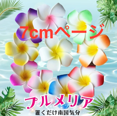 プルメリア 造花 髪飾り 雑貨 花のみ フェイクフラワー テーブルフラワー バラ売り 消臭 玄関 アジアン家具ローテーブル アジアン バリ 額縁 アジアンタム 観葉植物 ハンギング ネモフィラ バラ花のみ