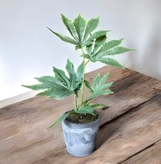 光触媒　フェイクグリーン　マリファナ　人工観葉植物　大麻　造花　草　CBD49@gdm