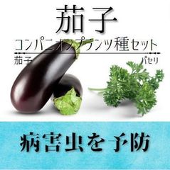 【ナスの種】ナス×パセリコンパニオンとの２点セット～病害虫予防セット