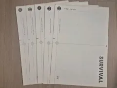 2025 社会文化 模擬試験 時代人材 N 専用 サバイバル 5 灰