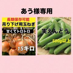 玉ねぎ15キロ ‼️スナップえんどう‼️あう様専用ページ