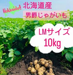 北海道　男爵じゃがいも　LM