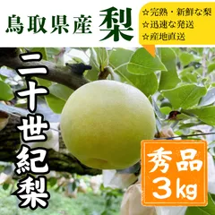 2025年最新】二十世紀梨 10kgの人気アイテム - メルカリ